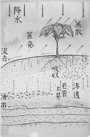 宮沢賢治の絵